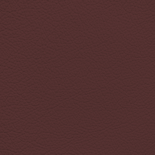 Mercedes Maroon Leather Dye