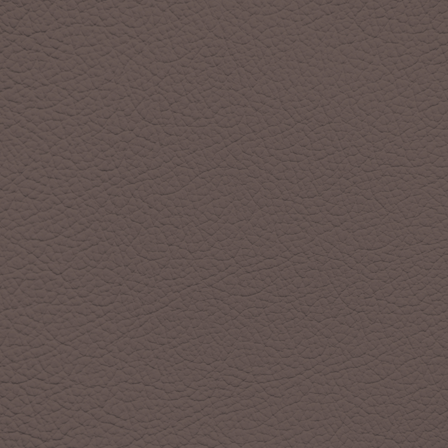 Lamborghini Marrone Janus Leather Dye