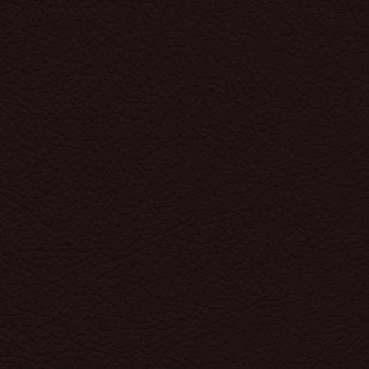 Porsche Marsala Leather Dye