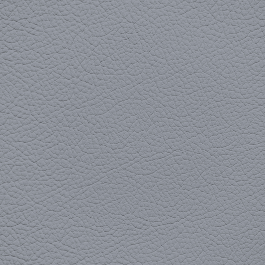 Mercedes Orion Grey Leather Dye