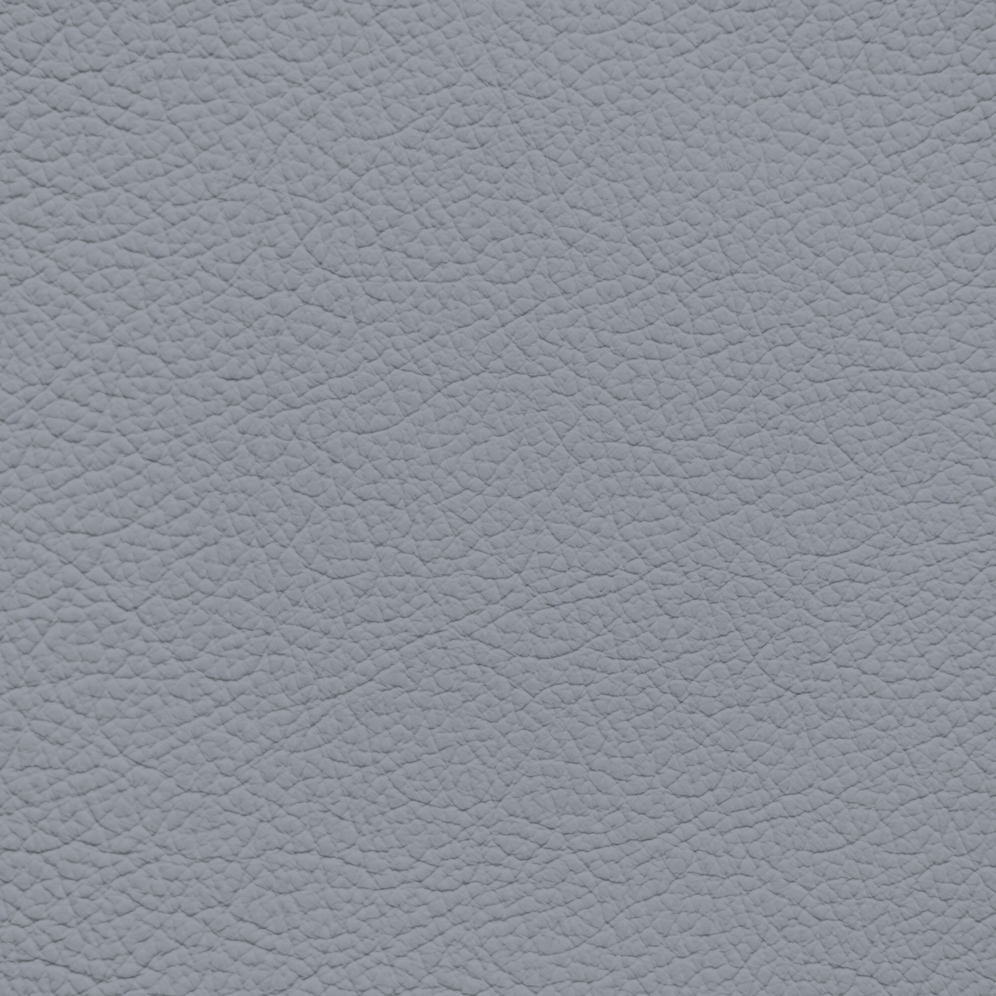 Mercedes Medium Ash Leather Dye