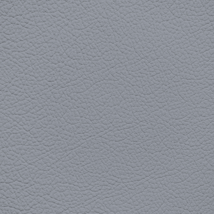 Mercedes Medium Ash Leather Dye