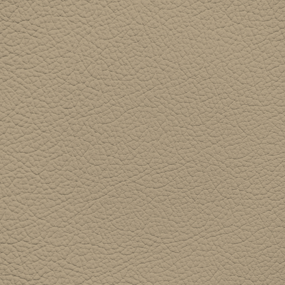 Ford/Lincoln/Mercury Medium Camel Leather Dye