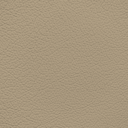 Ford/Lincoln/Mercury Medium Camel Leather Dye