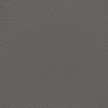 Ford/Lincoln/Mercury Medium Dark Graphite Leather Dye