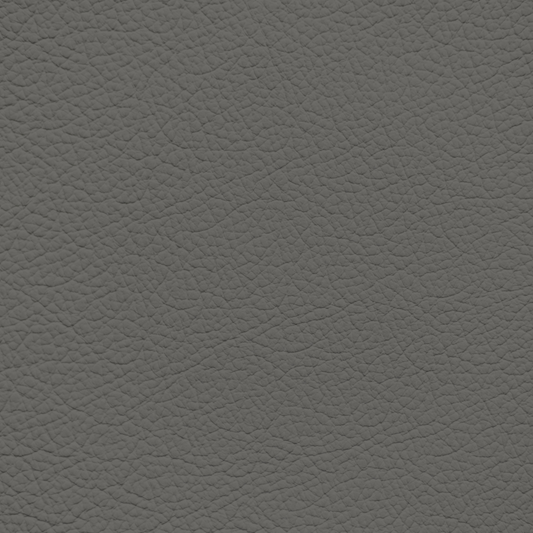Ford/Lincoln/Mercury Medium Dark Graphite Leather Dye