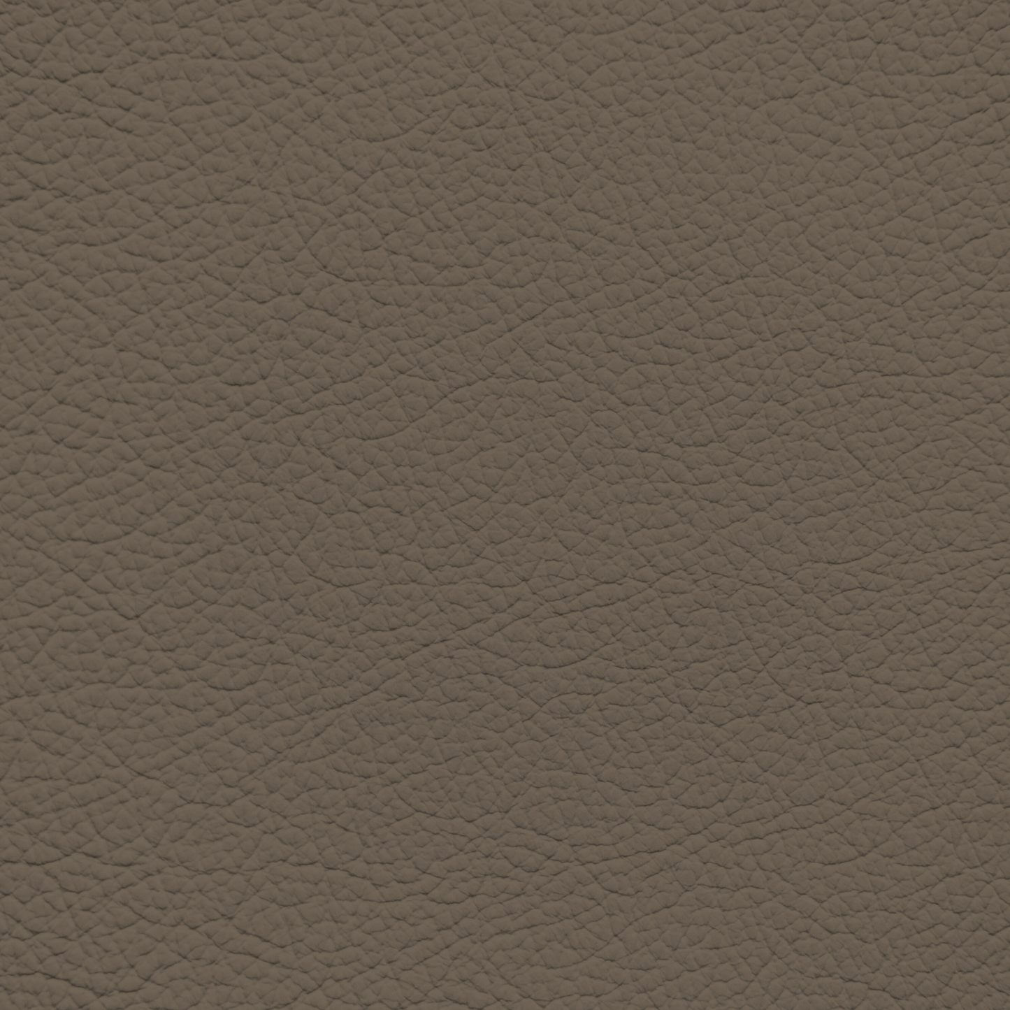 Ford/Lincoln/Mercury Medium Dark Parchment Leather Dye