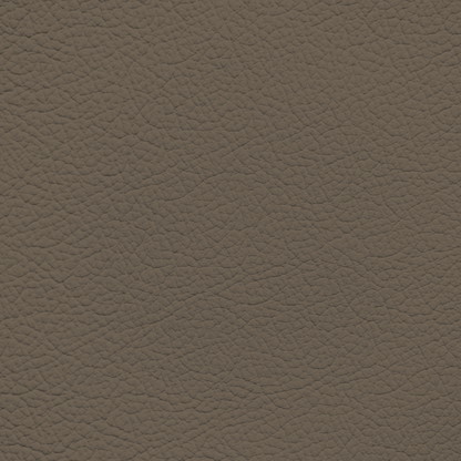 Ford/Lincoln/Mercury Medium Dark Parchment Leather Dye