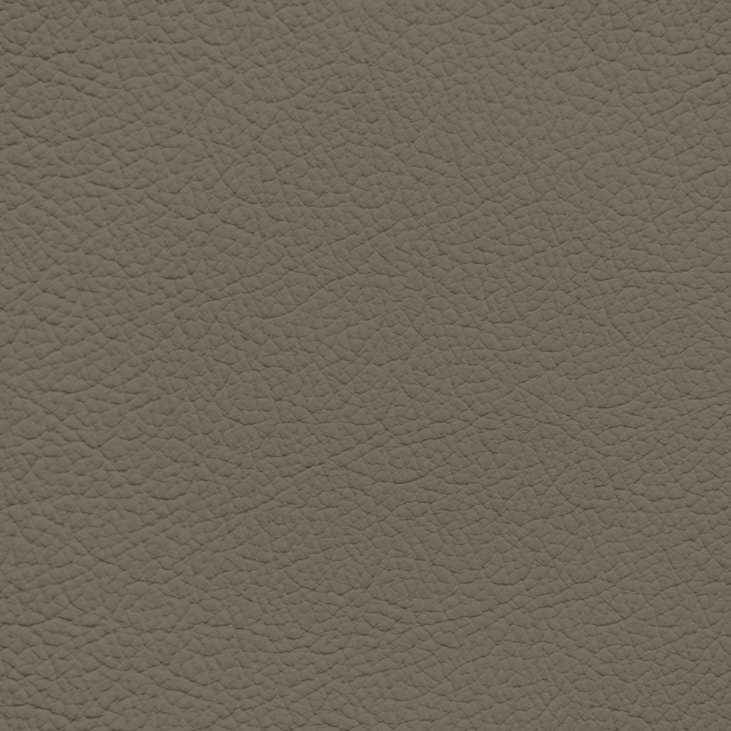Ford/Lincoln/Mercury Medium Dark Pebble Leather Dye