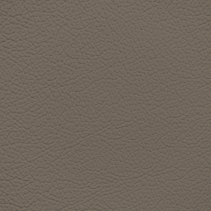 Ford/Lincoln/Mercury Medium Dark Pebble Leather Dye