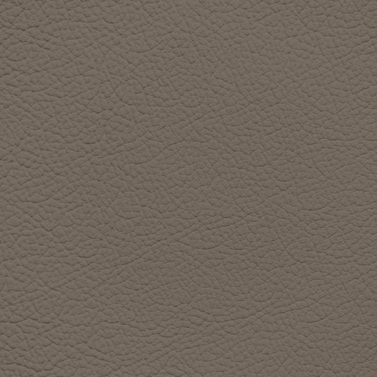 Ford/Lincoln/Mercury Medium Dark Pebble Leather Dye