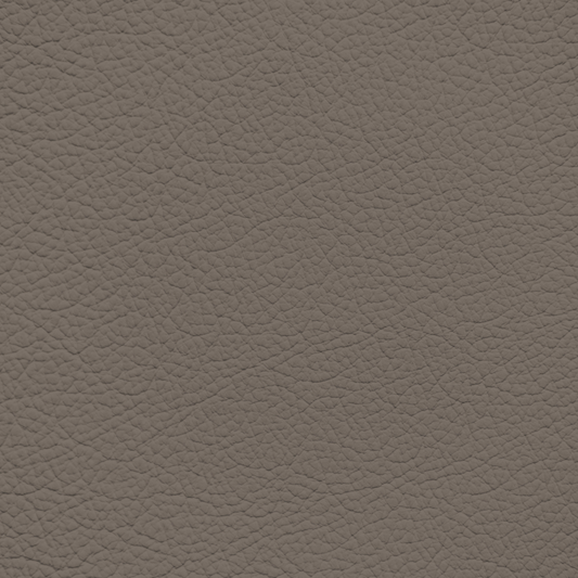 Ford/Lincoln/Mercury Medium Dark Praire Tan (Trim) Leather Dye