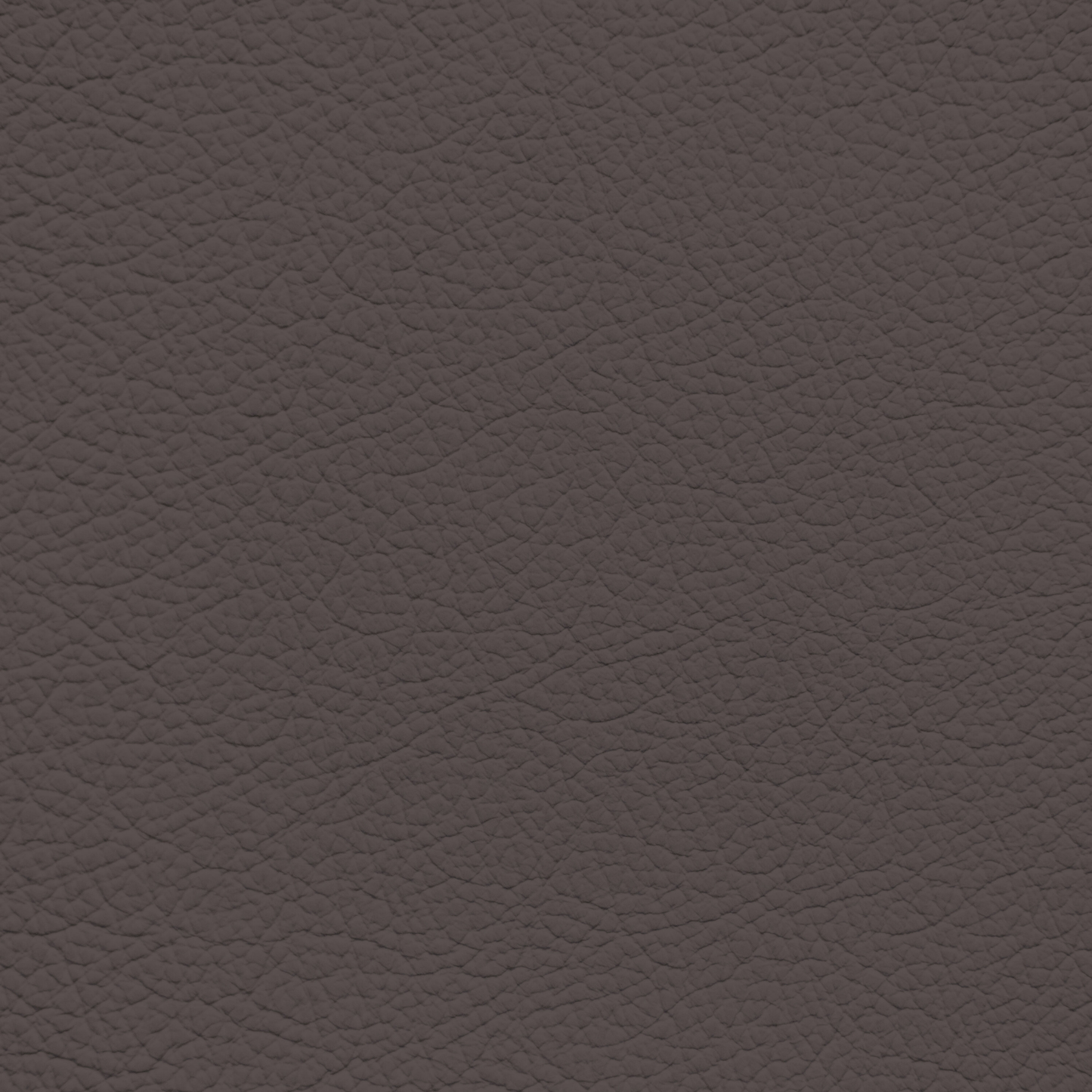 Ford/Lincoln/Mercury Medium Dark Sable Leather Dye