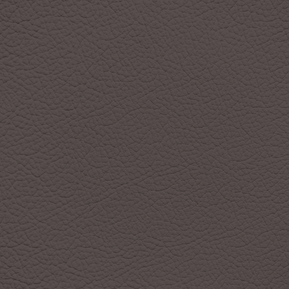 Ford/Lincoln/Mercury Medium Dark Sable Leather Dye