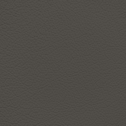 Ford/Lincoln/Mercury Medium Dark Stone Leather Dye