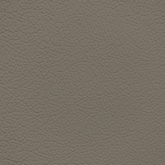 Ford/Lincoln/Mercury Medium Dark Truffle Leather Dye