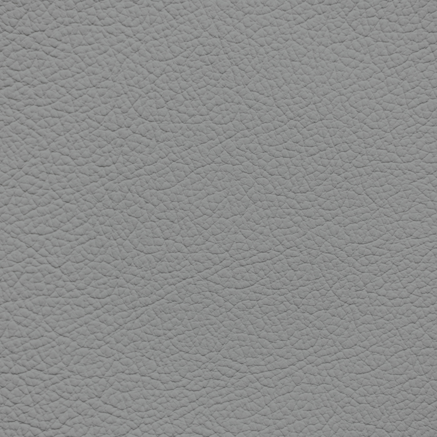 Ford/Lincoln/Mercury Medium Dove Leather Dye