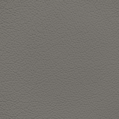 Ford/Lincoln/Mercury Medium Flint Tan Leather Dye