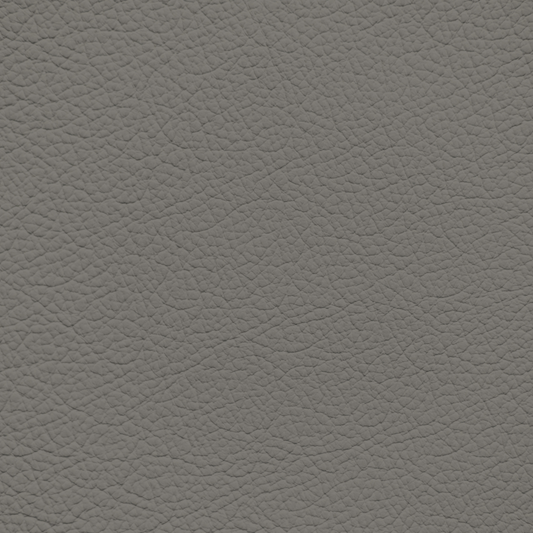 Ford/Lincoln/Mercury Medium Flint Tan Leather Dye