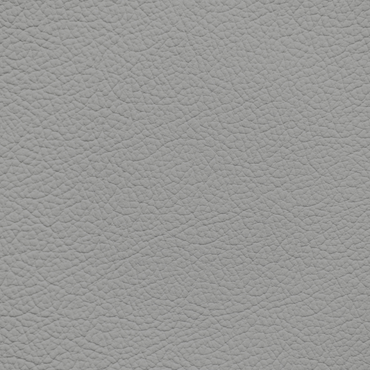 Nissan Medium Graphite Leather Dye