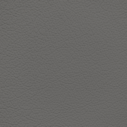 Mercedes Medium Gray Leather Dye