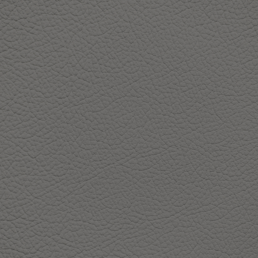 Mercedes Medium Gray Leather Dye