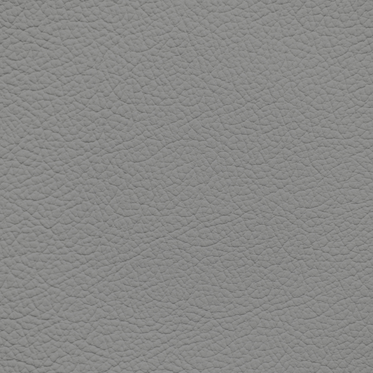 Nissan Medium Gray Leather Dye