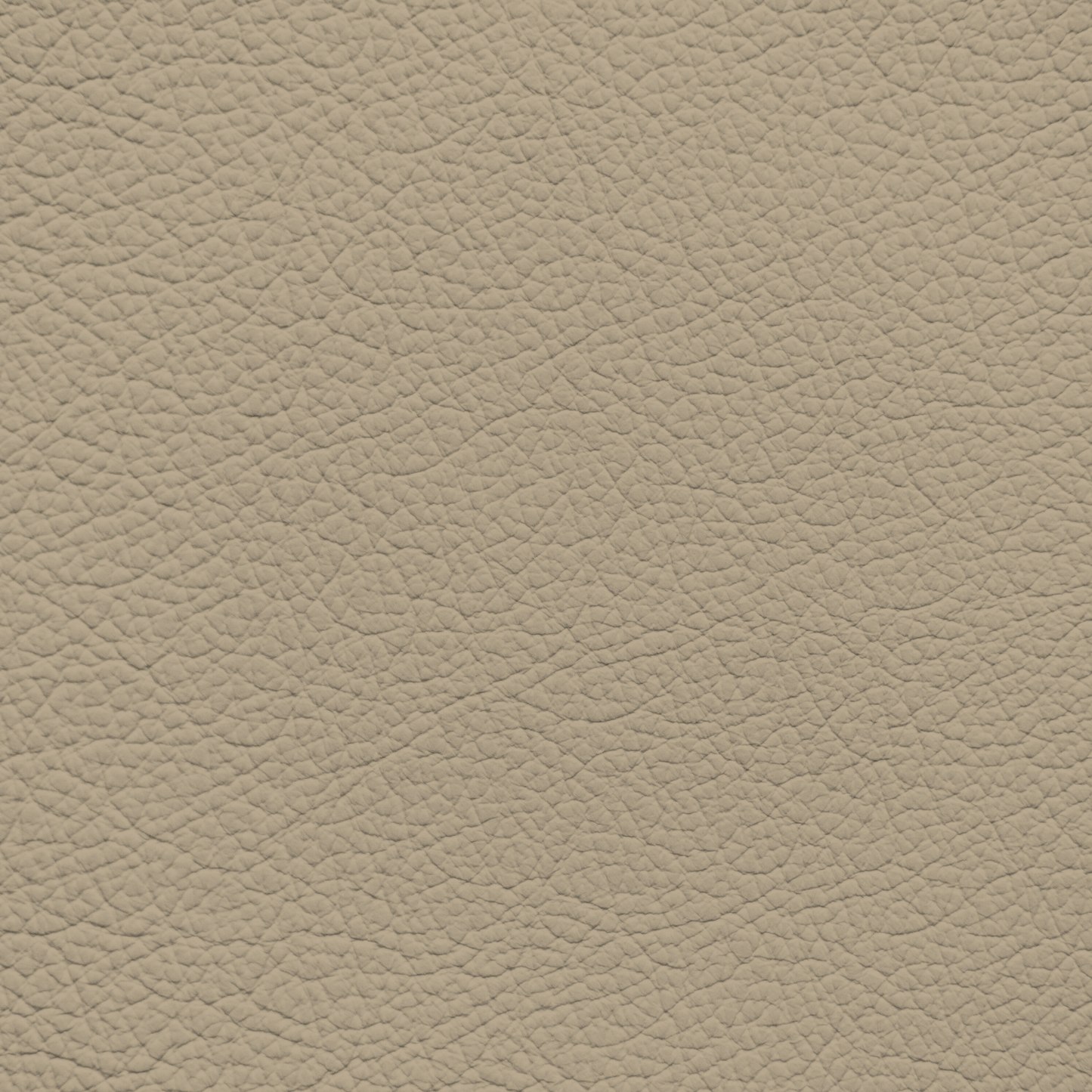 Ford/Lincoln/Mercury Medium Light Camel Leather Dye