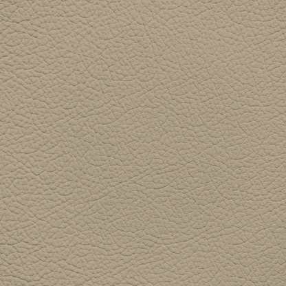 Ford/Lincoln/Mercury Medium Light Camel Leather Dye