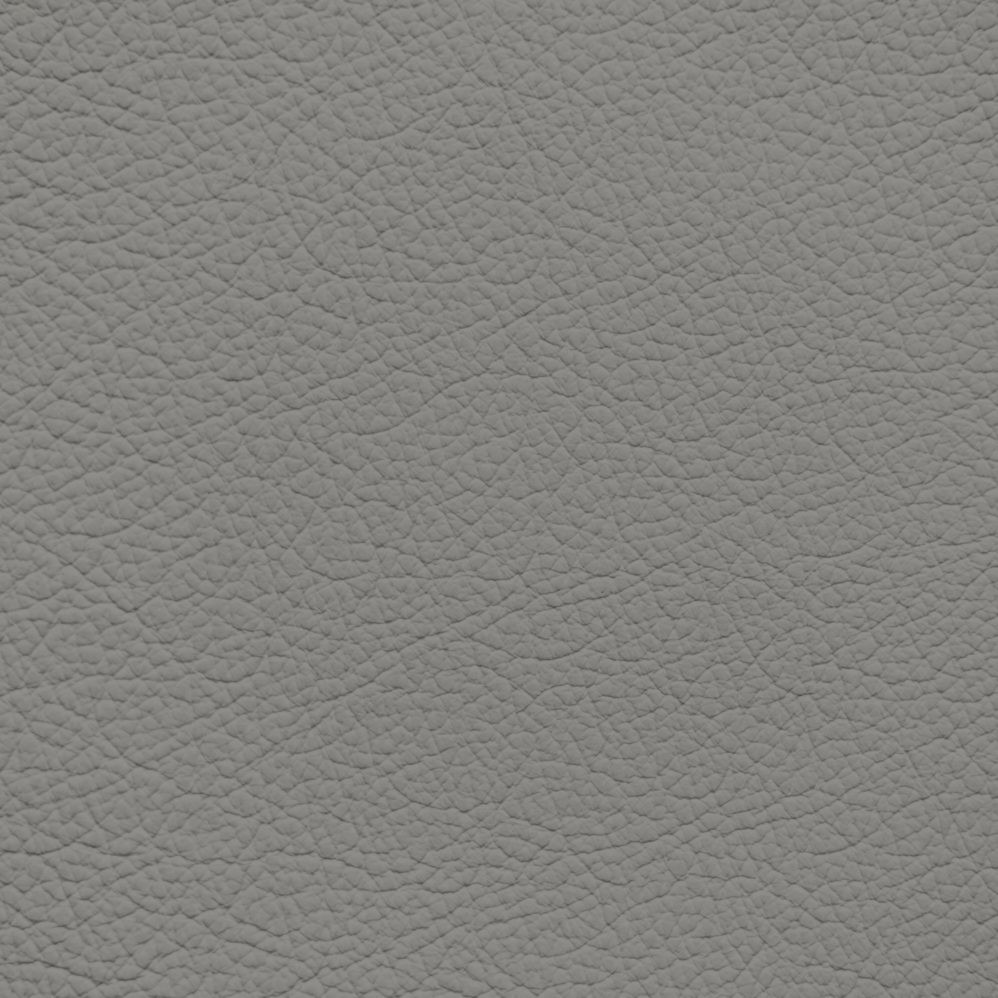 Ford/Lincoln/Mercury Medium Light Flint Leather Dye