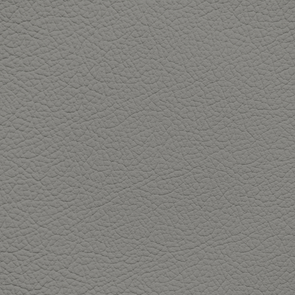 Ford/Lincoln/Mercury Medium Light Flint Leather Dye