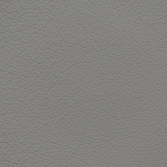 Ford/Lincoln/Mercury Medium Light Flint Leather Dye