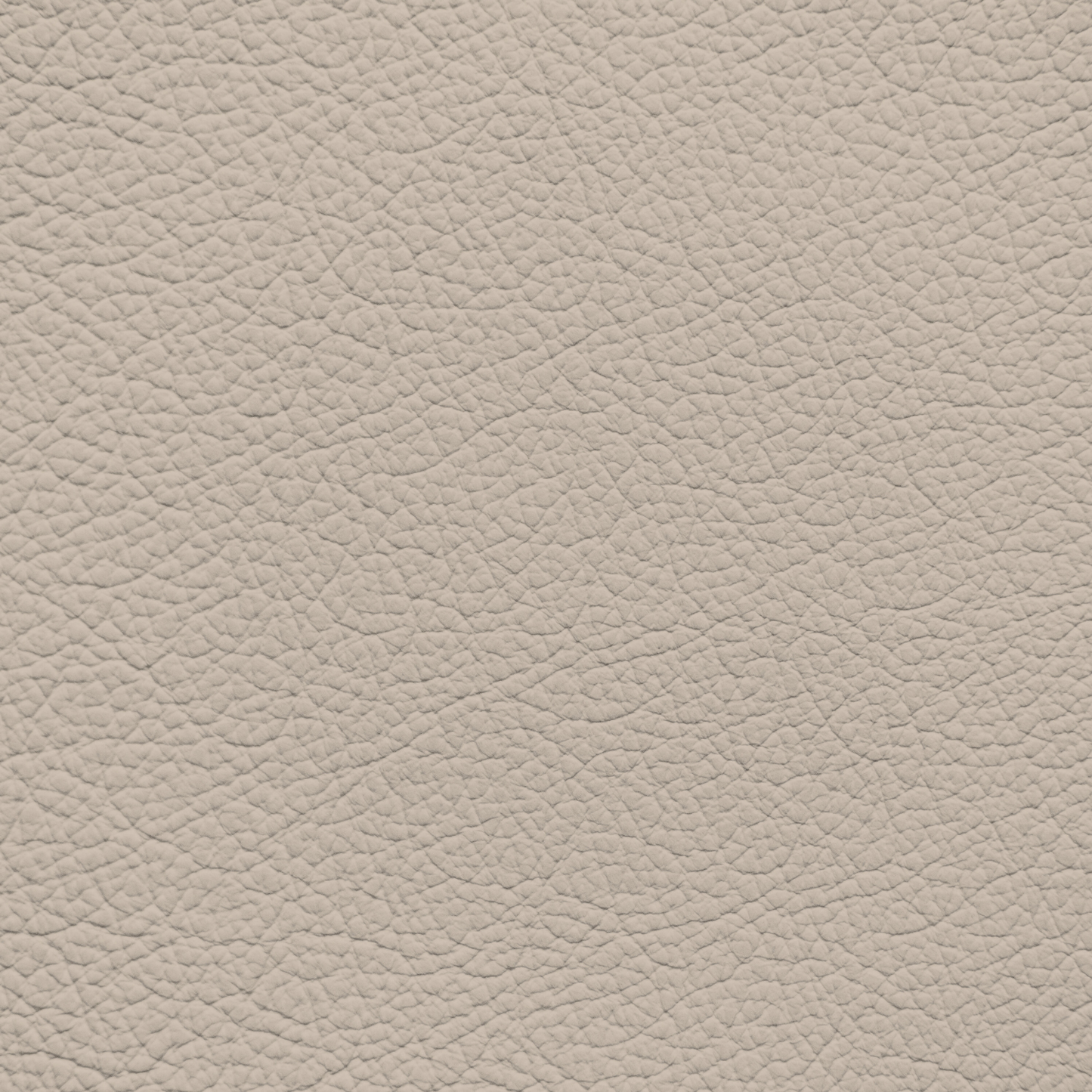 Ford/Lincoln/Mercury Medium Light Parchment Leather Dye