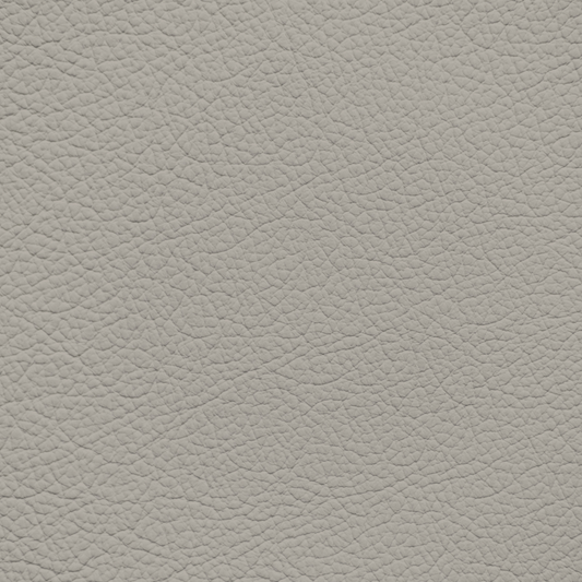 Ford/Lincoln/Mercury Medium Light Stone Leather Dye