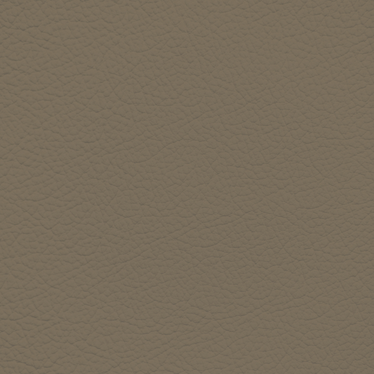Ford/Lincoln/Mercury Medium Mocha Leather Dye