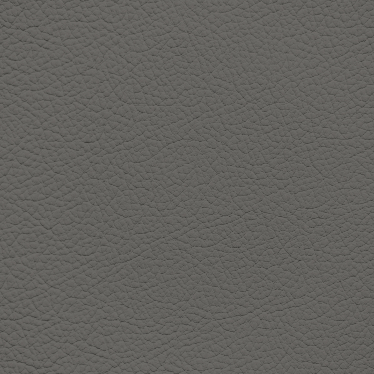 Ford/Lincoln/Mercury Medium Opal Leather Dye