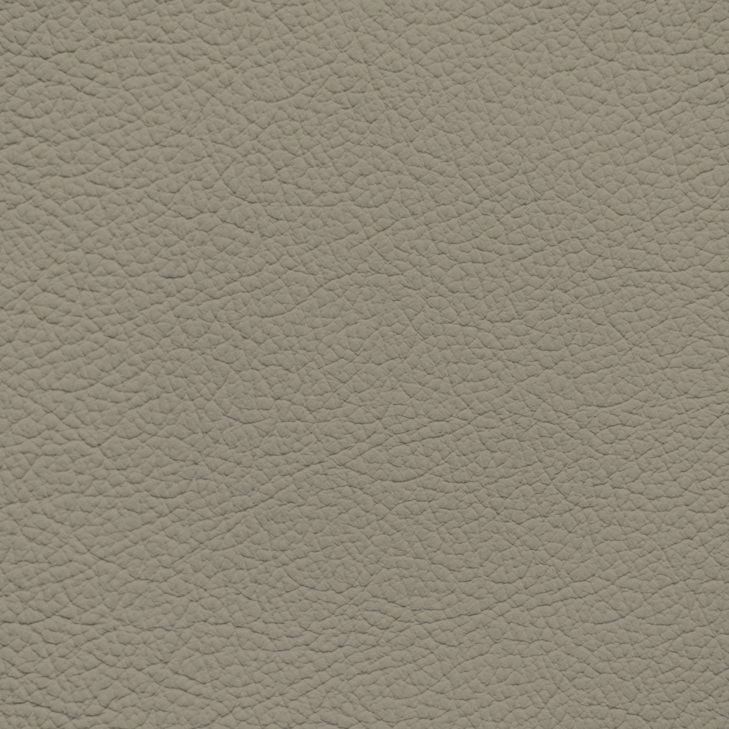 Ford/Lincoln/Mercury Medium Parchment Leather Dye