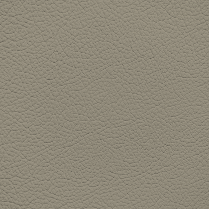 Ford/Lincoln/Mercury Medium Parchment Leather Dye