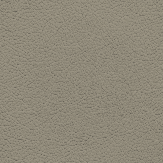 Ford/Lincoln/Mercury Medium Pebble Leather Dye
