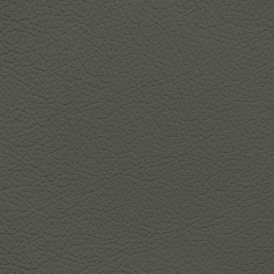 Ford/Lincoln/Mercury Medium Portland Leather Dye