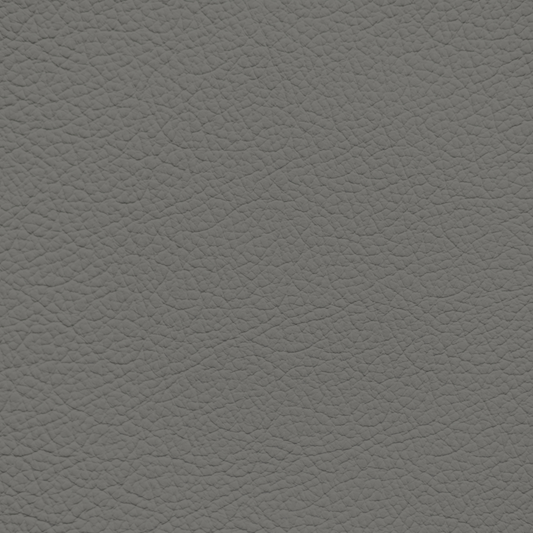 Nissan Medium Portland Leather Dye