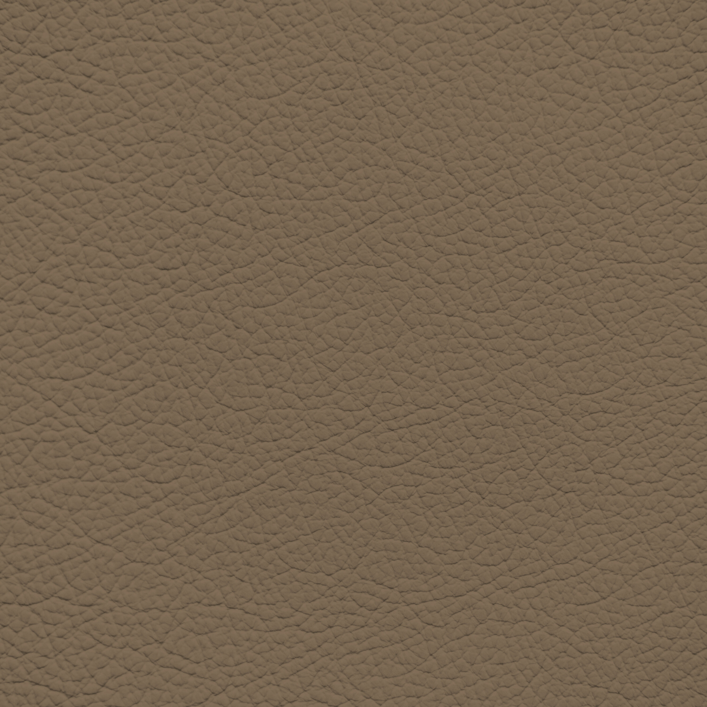 Ford/Lincoln/Mercury Medium Prairie Tan Leather Dye