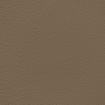 Ford/Lincoln/Mercury Medium Prairie Tan Leather Dye