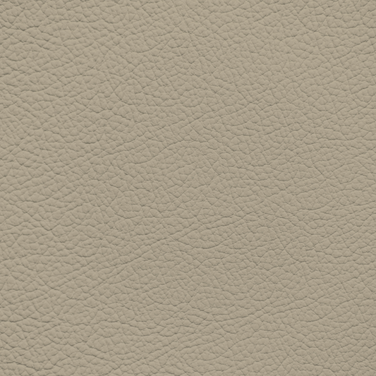 Nissan Medium Sand Leather Dye