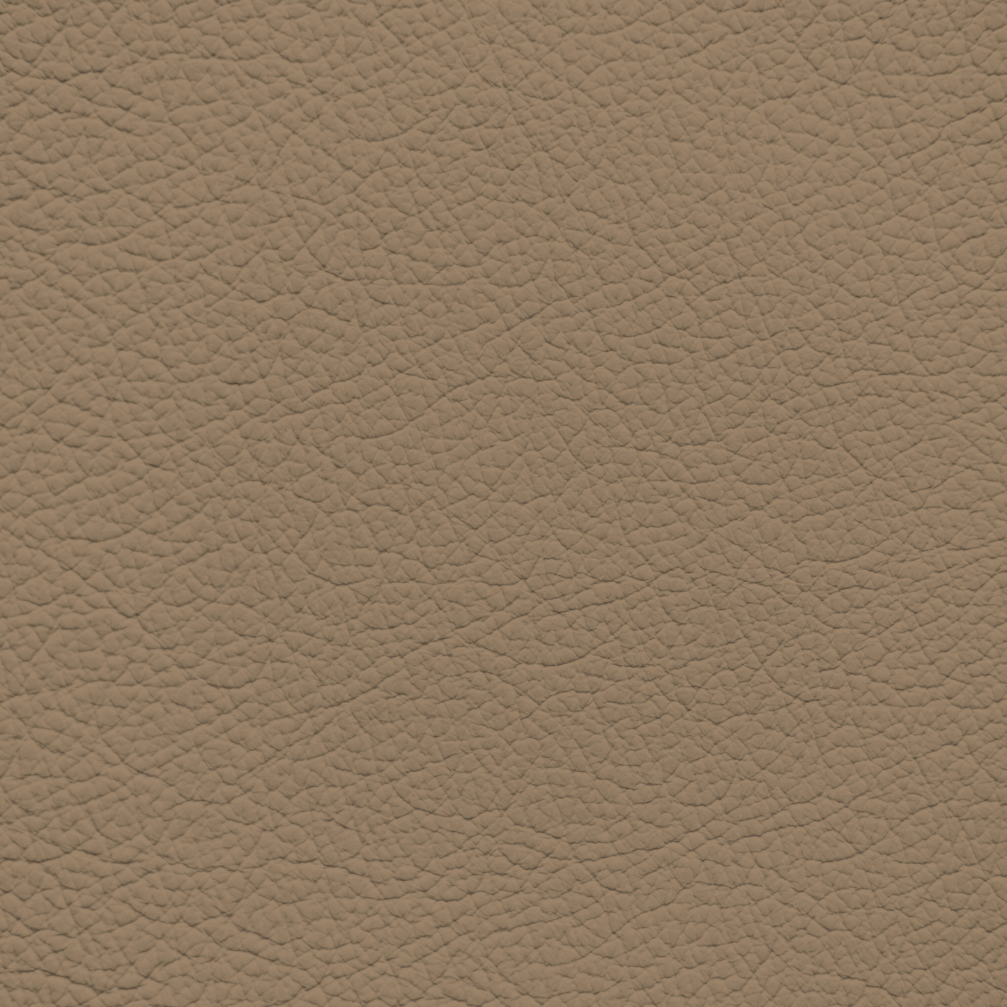 Ford/Lincoln/Mercury Medium Sandalwood Leather Dye