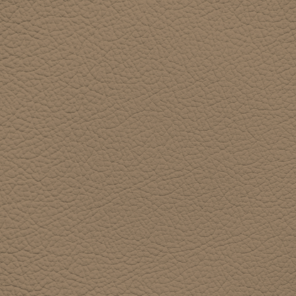 Ford/Lincoln/Mercury Medium Sandalwood Leather Dye