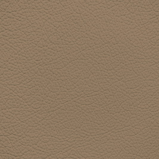 Ford/Lincoln/Mercury Medium Sandalwood Leather Dye