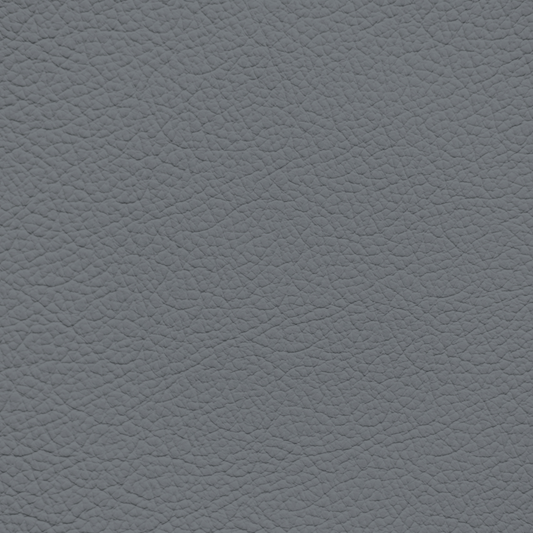 Ford/Lincoln/Mercury Medium Slate Leather Dye
