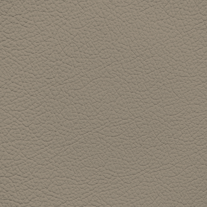 Ford/Lincoln/Mercury Medium Stone Leather Dye