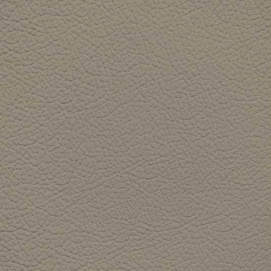 Ford/Lincoln/Mercury Medium Stone Leather Dye